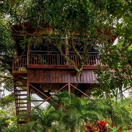 Hotel Heliconias Nature Inn & Hot Springs La Fortuna Exterior photo