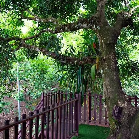 Hotel Heliconias Nature Inn & Hot Springs La Fortuna Exterior photo