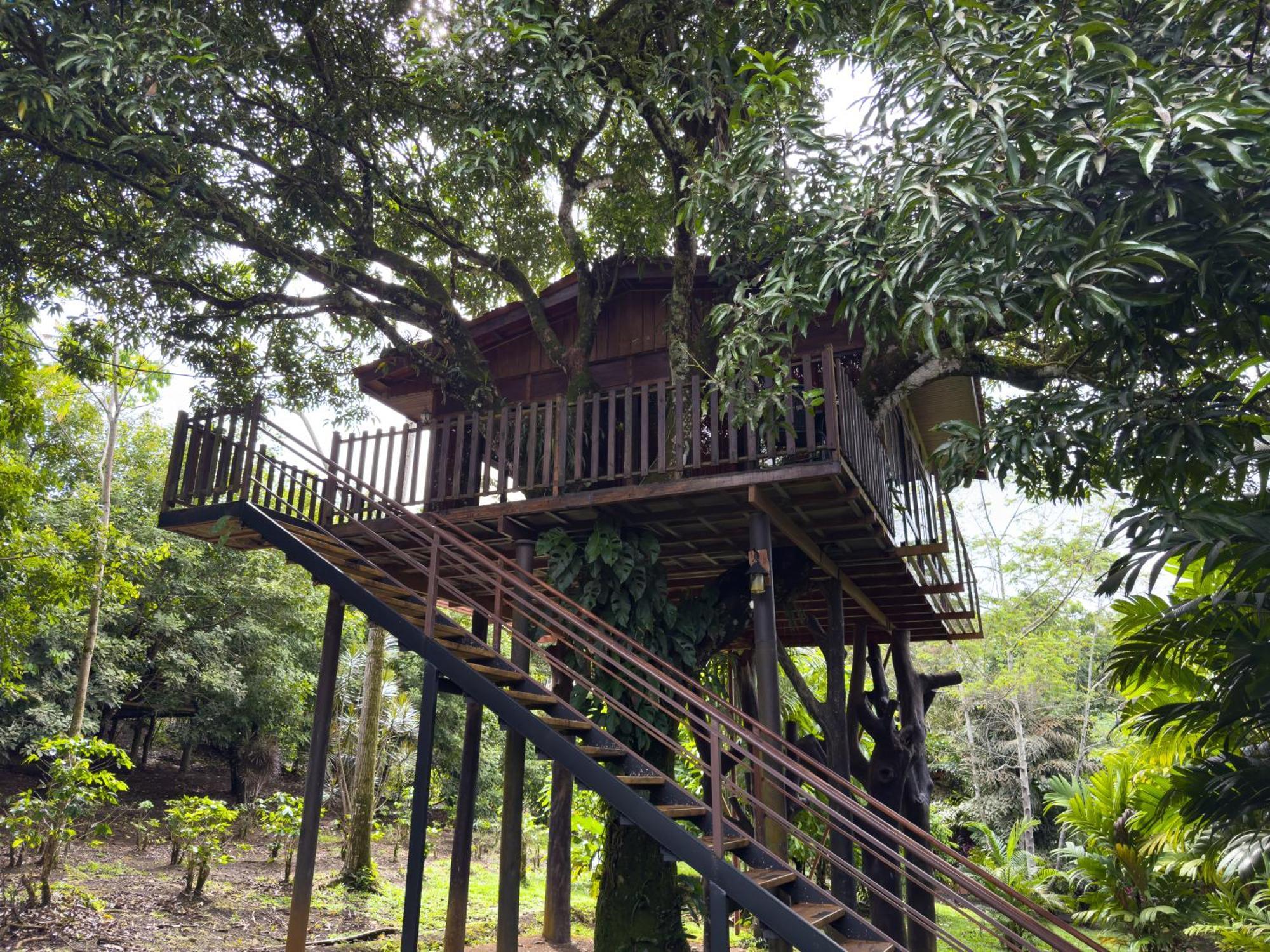 Heliconias Nature & Hot Springs