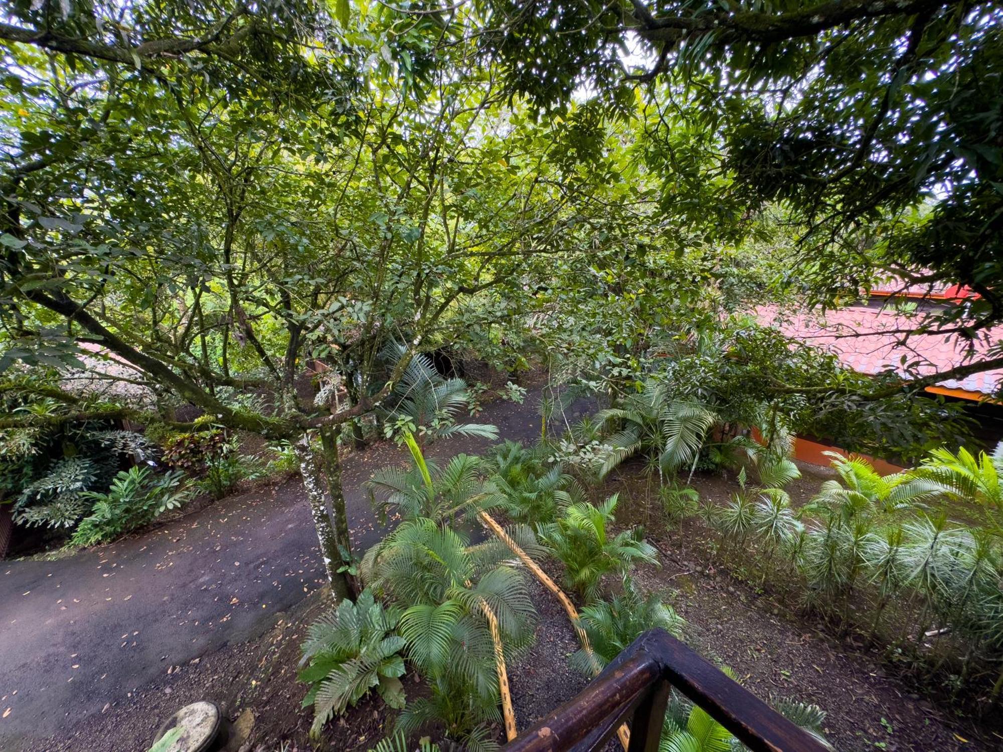 Hotel Heliconias Nature & Hot Springs 4*