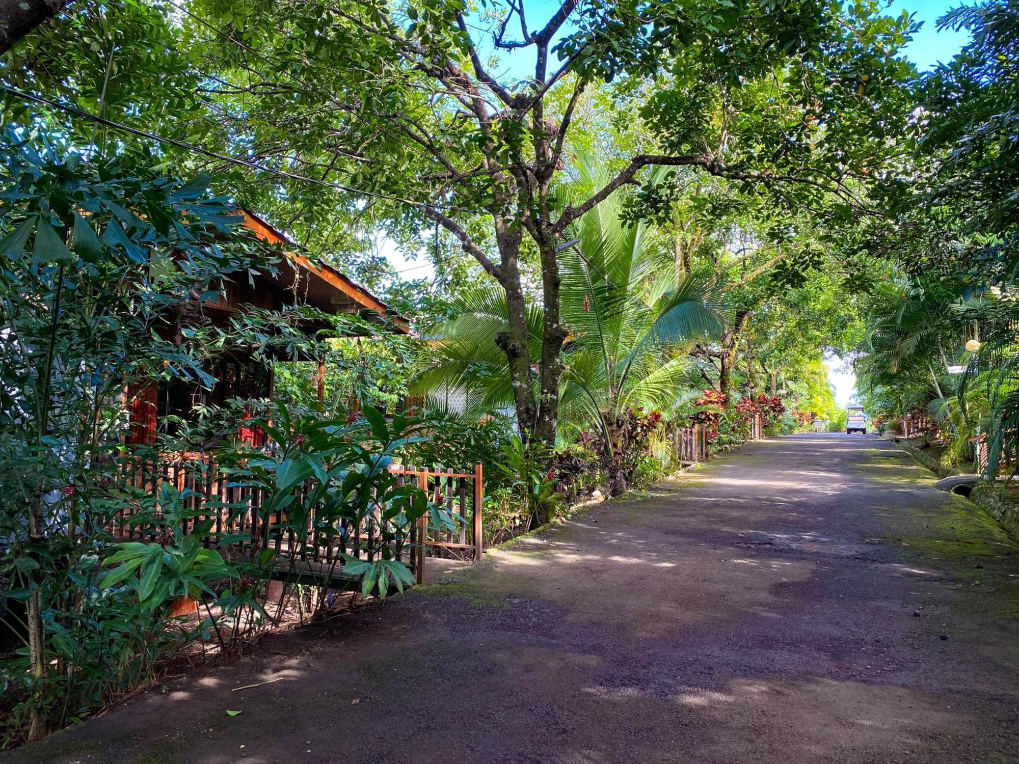 Hotel Heliconias Nature & Hot Springs 4*
