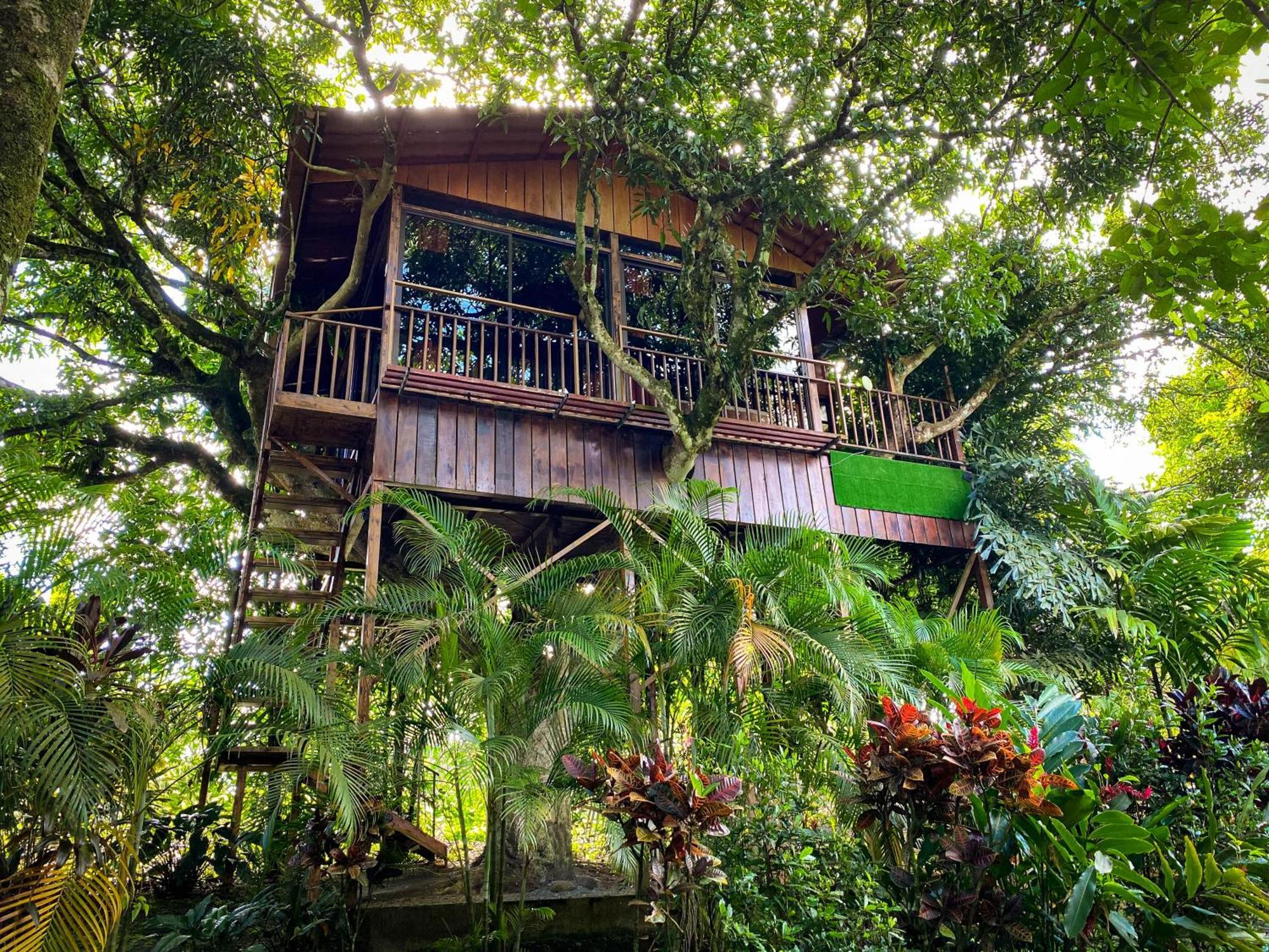 Heliconias Nature & Hot Springs La Fortuna